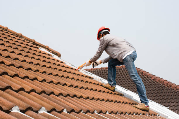 Best Metal Roofing Installation  in Edinburg, IL