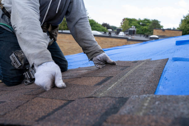Best Metal Roofing Installation  in Edinburg, IL
