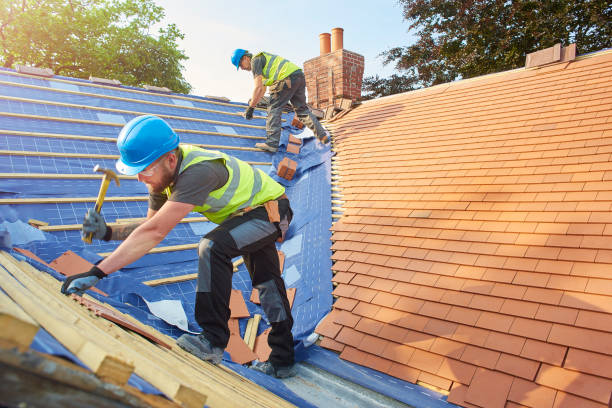 Best Green or Eco-Friendly Roofing Solutions  in Edinburg, IL